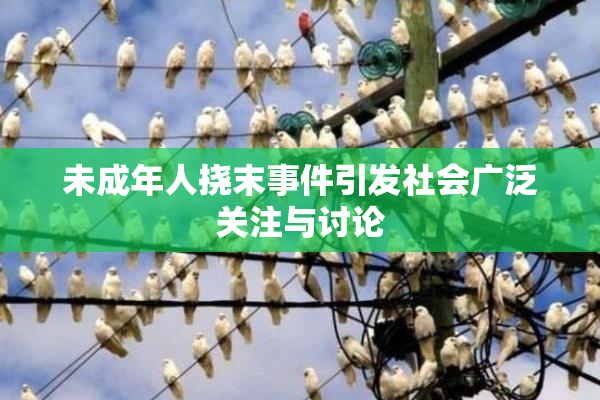 未成年人挠末事件引发社会广泛关注与讨论