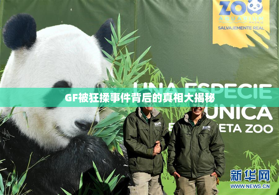 GF被狂揉事件背后的真相大揭秘