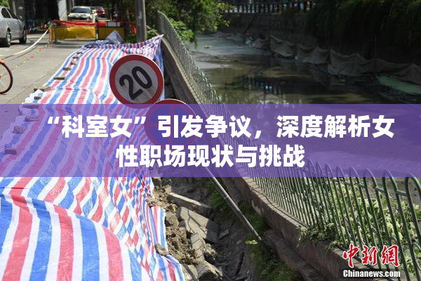 “科室女”引发争议，深度解析女性职场现状与挑战