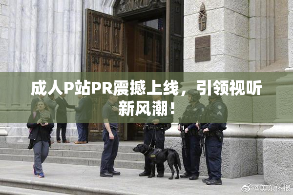 成人P站PR震撼上线，引领视听新风潮！