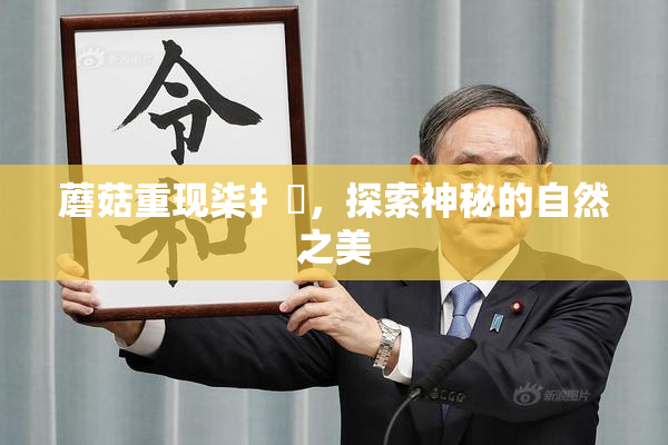 蘑菇重现柒扌畐，探索神秘的自然之美