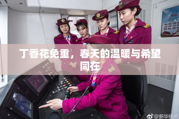 丁香花免重，春天的温暖与希望同在