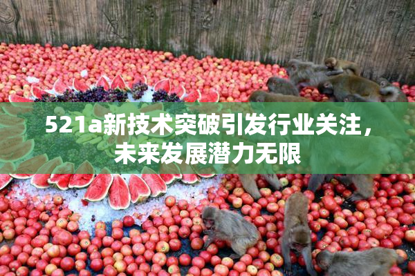 521a新技术突破引发行业关注，未来发展潜力无限