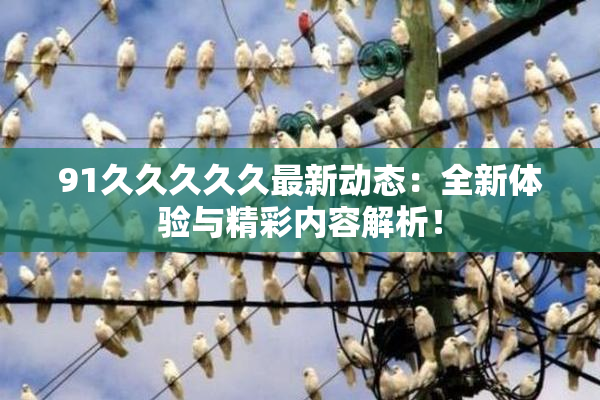 91久久久久久最新动态：全新体验与精彩内容解析！