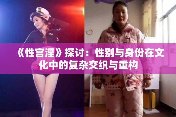 《性宫淫》探讨：性别与身份在文化中的复杂交织与重构