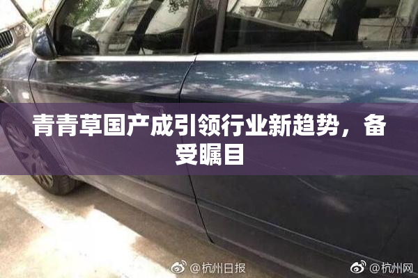 青青草国产成引领行业新趋势，备受瞩目