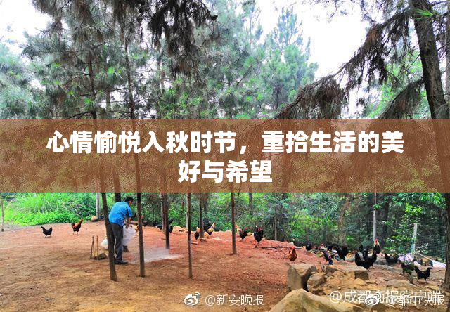 心情愉悦入秋时节，重拾生活的美好与希望