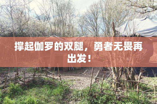 撑起伽罗的双腿，勇者无畏再出发！