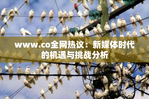 www.co全网热议：新媒体时代的机遇与挑战分析