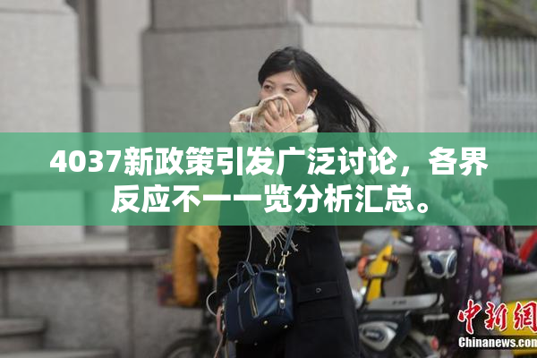 4037新政策引发广泛讨论，各界反应不一一览分析汇总。
