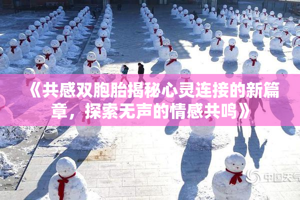 《共感双胞胎揭秘心灵连接的新篇章，探索无声的情感共鸣》