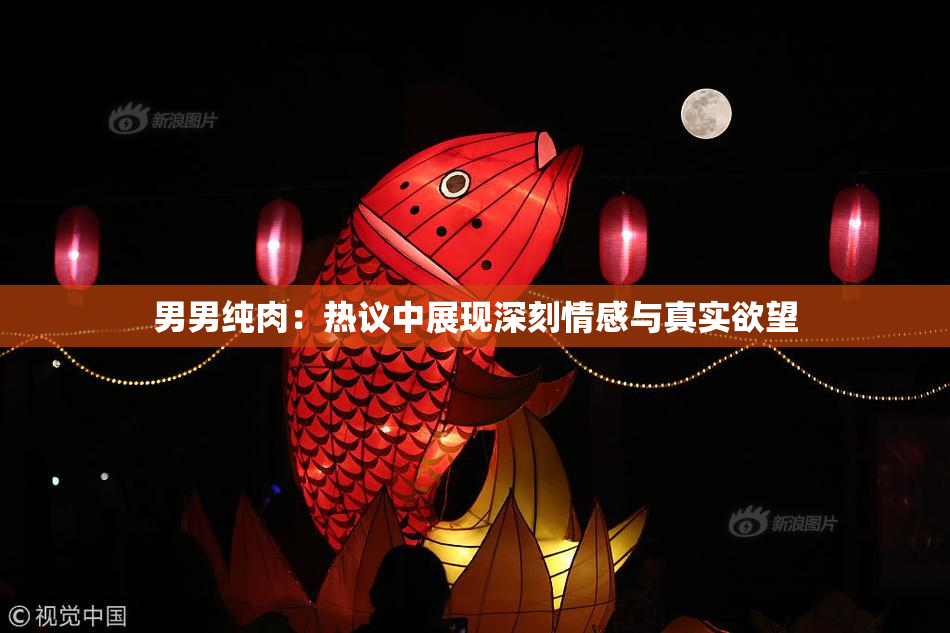 男男纯肉：热议中展现深刻情感与真实欲望
