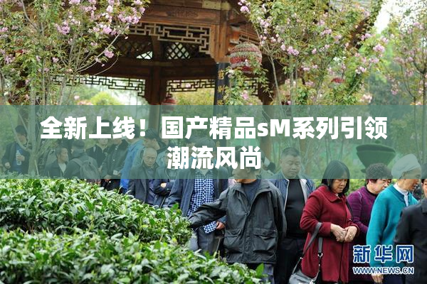 全新上线！国产精品sM系列引领潮流风尚