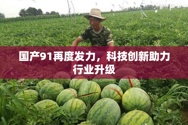 国产91再度发力，科技创新助力行业升级