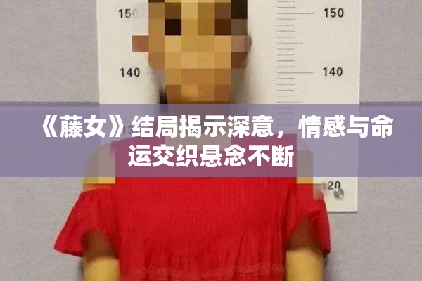 《藤女》结局揭示深意，情感与命运交织悬念不断