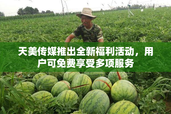 天美传媒推出全新福利活动，用户可免费享受多项服务