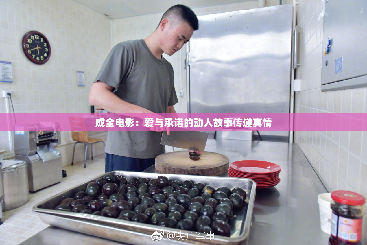 成全电影：爱与承诺的动人故事传递真情