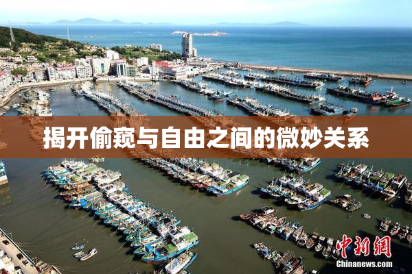 揭开偷窥与自由之间的微妙关系