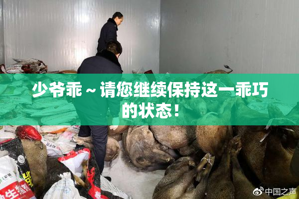 少爷乖～请您继续保持这一乖巧的状态！
