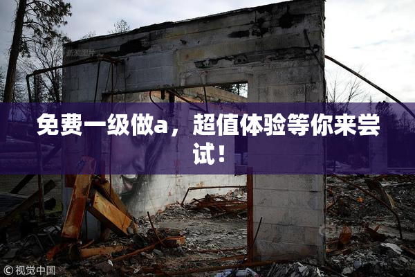 免费一级做a，超值体验等你来尝试！