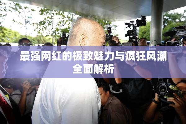 最强网红的极致魅力与疯狂风潮全面解析