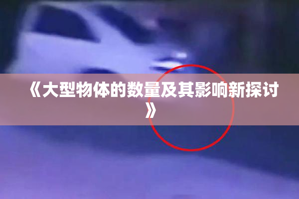 《大型物体的数量及其影响新探讨》