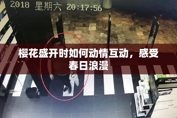 樱花盛开时如何动情互动，感受春日浪漫