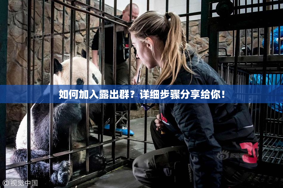 如何加入露出群？详细步骤分享给你！