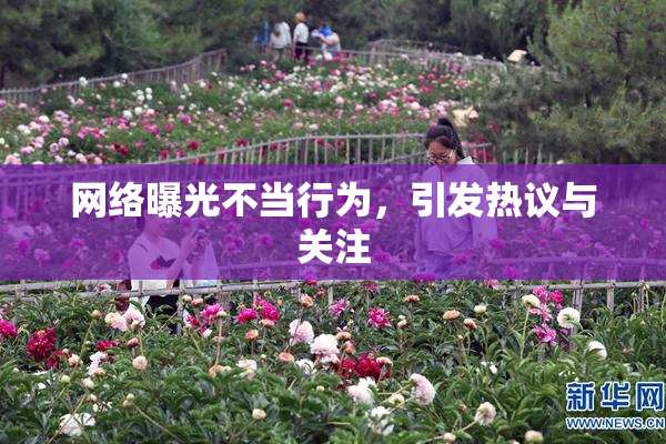 网络曝光不当行为，引发热议与关注