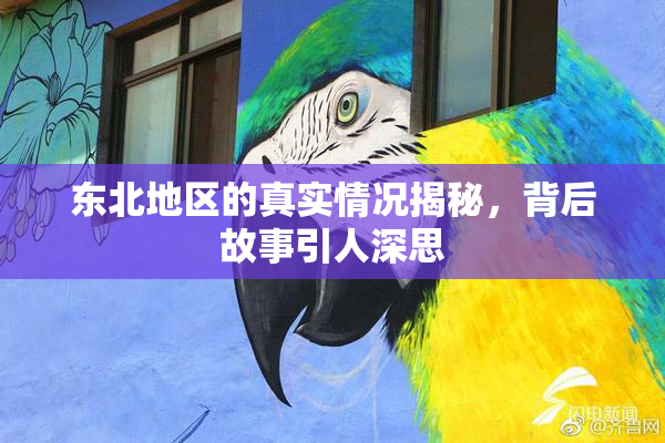 东北地区的真实情况揭秘，背后故事引人深思
