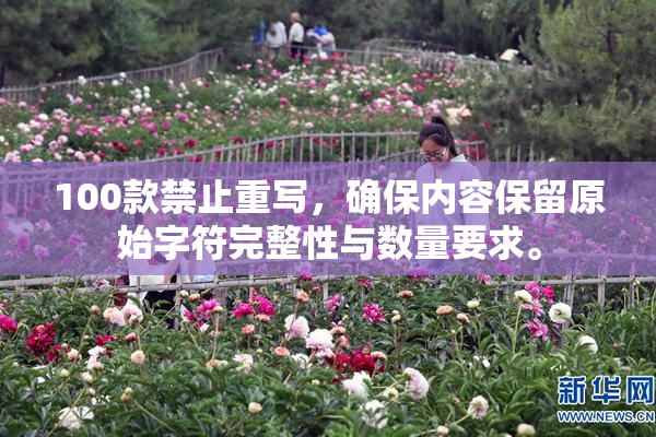100款禁止重写，确保内容保留原始字符完整性与数量要求。