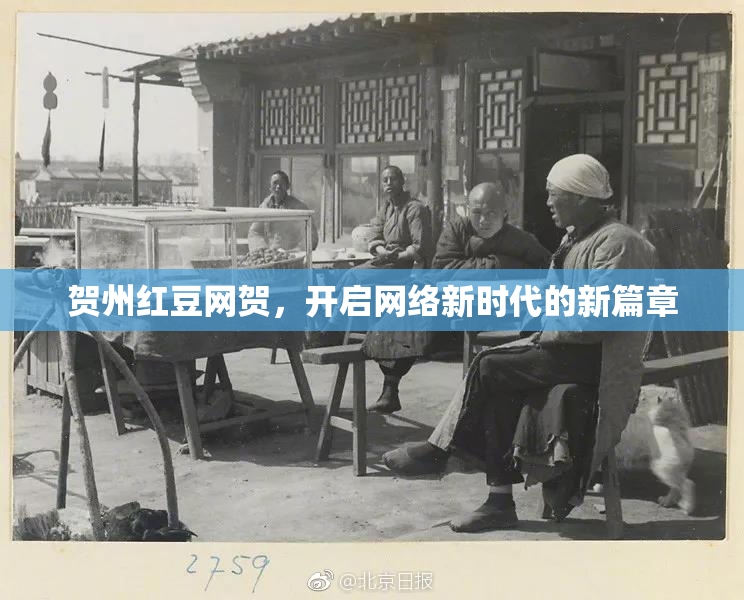 贺州红豆网贺，开启网络新时代的新篇章
