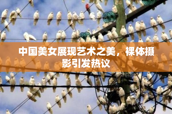 中国美女展现艺术之美，裸体摄影引发热议