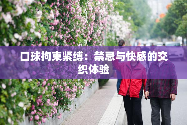 口球拘束紧缚：禁忌与快感的交织体验