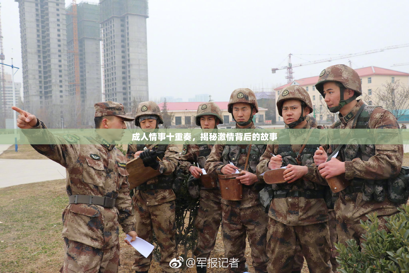 成人情事十重奏，揭秘激情背后的故事