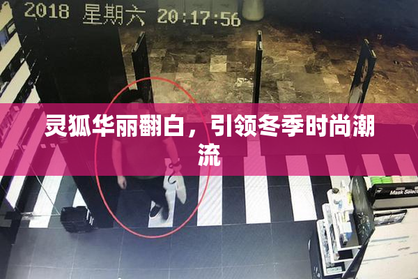 灵狐华丽翻白，引领冬季时尚潮流