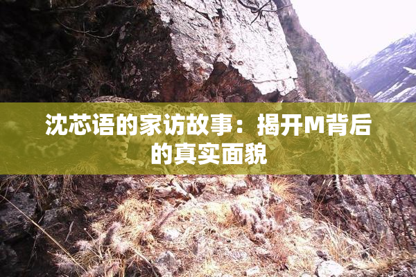 沈芯语的家访故事：揭开M背后的真实面貌
