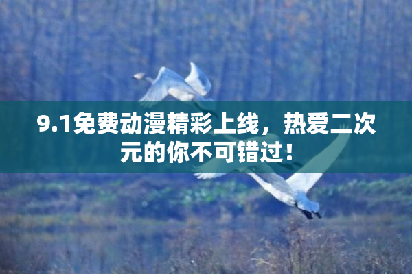 9.1免费动漫精彩上线，热爱二次元的你不可错过！