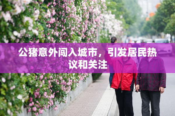 公猪意外闯入城市，引发居民热议和关注