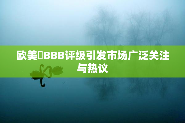 欧美槡BBB评级引发市场广泛关注与热议