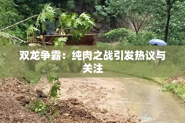 双龙争霸：纯肉之战引发热议与关注