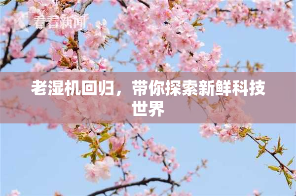 老湿机回归，带你探索新鲜科技世界