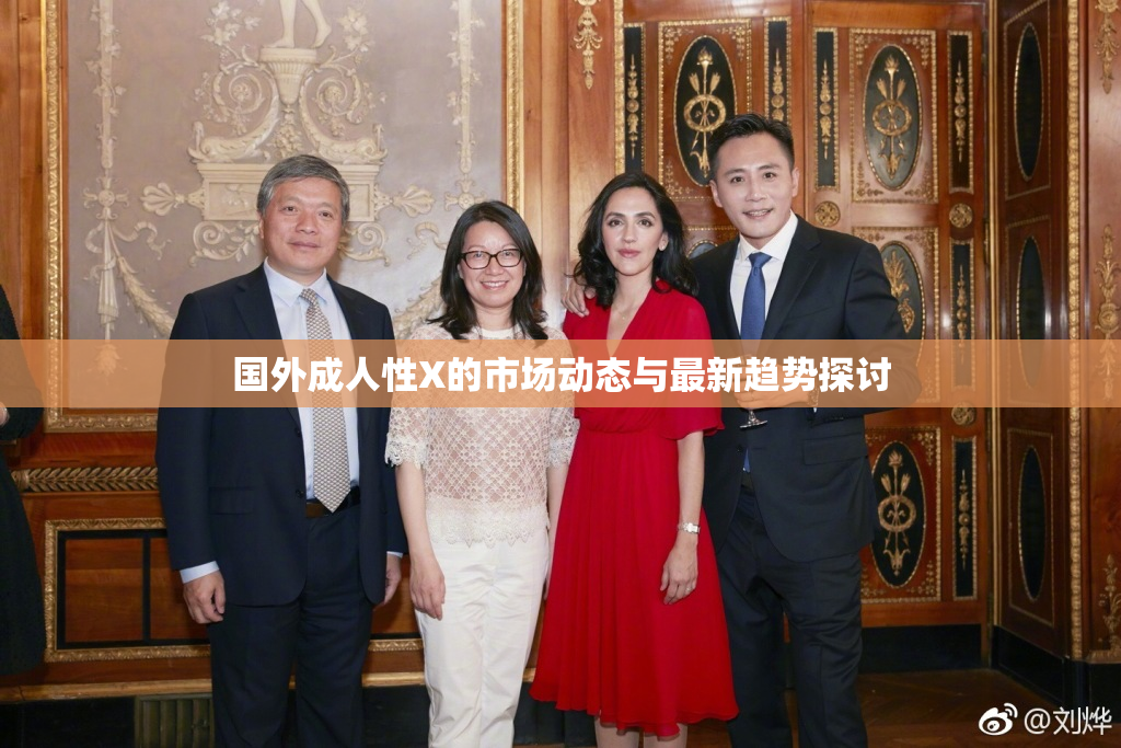 国外成人性X的市场动态与最新趋势探讨