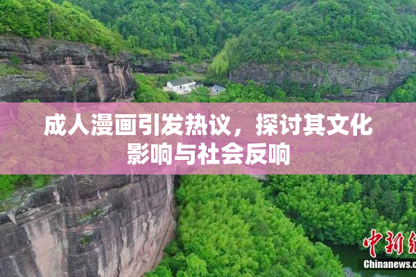 成人漫画引发热议，探讨其文化影响与社会反响