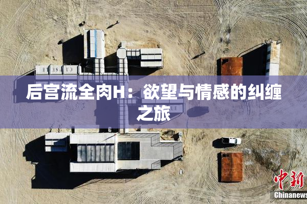 后宫流全肉H：欲望与情感的纠缠之旅