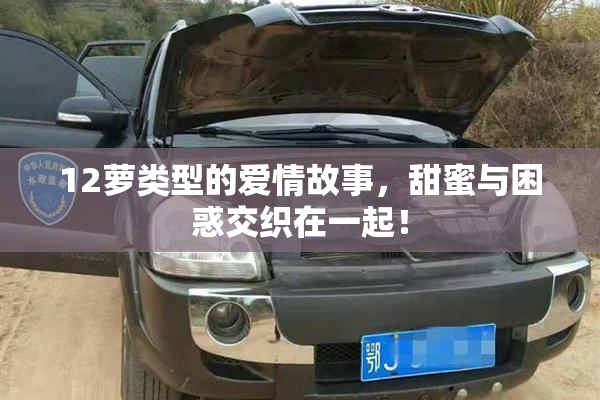12萝类型的爱情故事，甜蜜与困惑交织在一起！