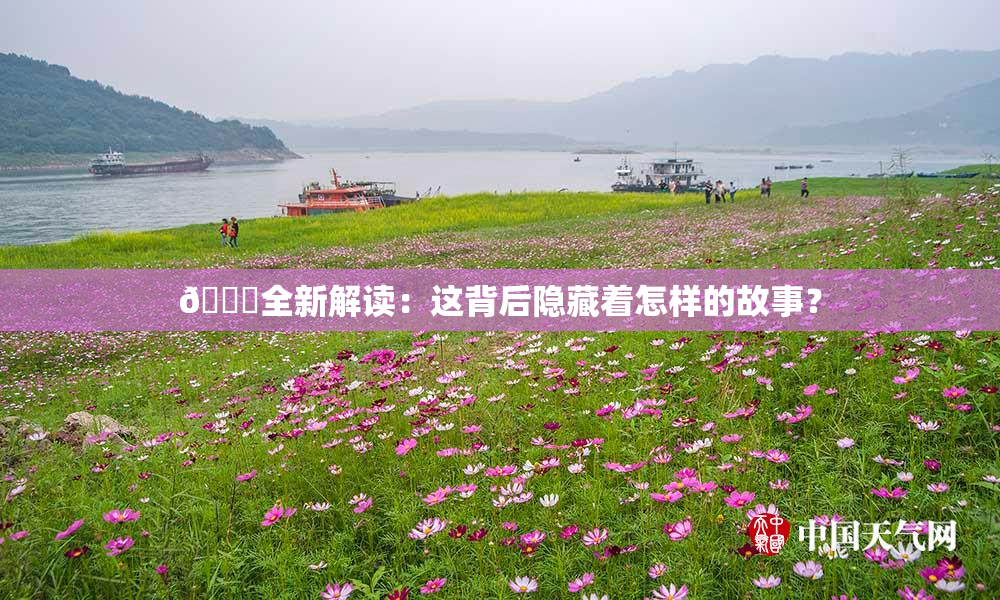 🈚全新解读：这背后隐藏着怎样的故事？