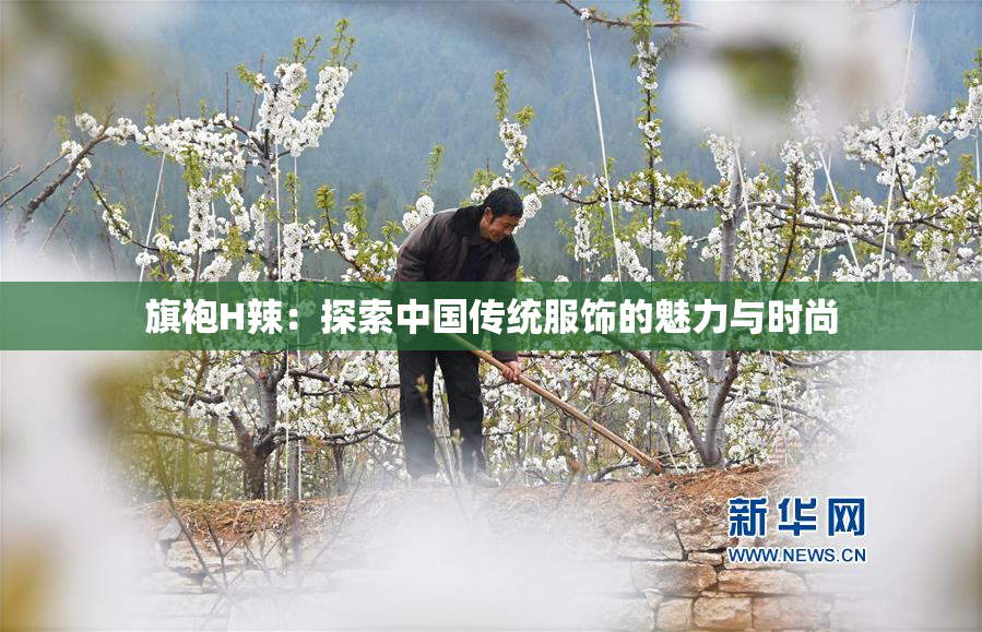 旗袍H辣：探索中国传统服饰的魅力与时尚