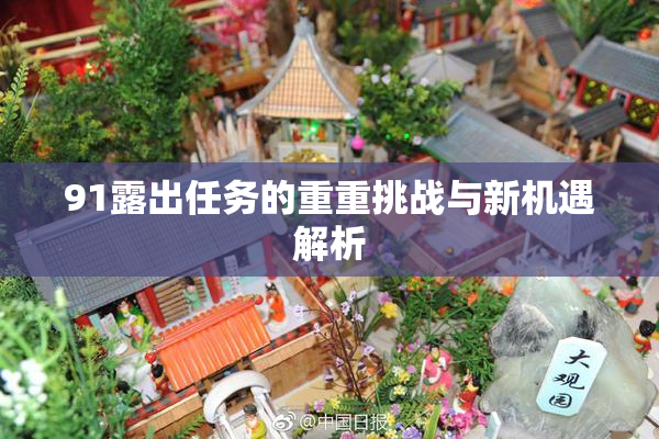 91露出任务的重重挑战与新机遇解析