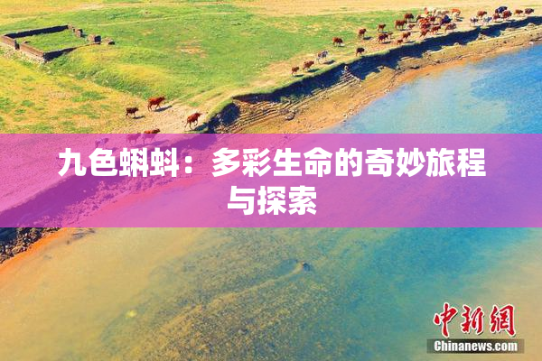 九色蝌蚪：多彩生命的奇妙旅程与探索